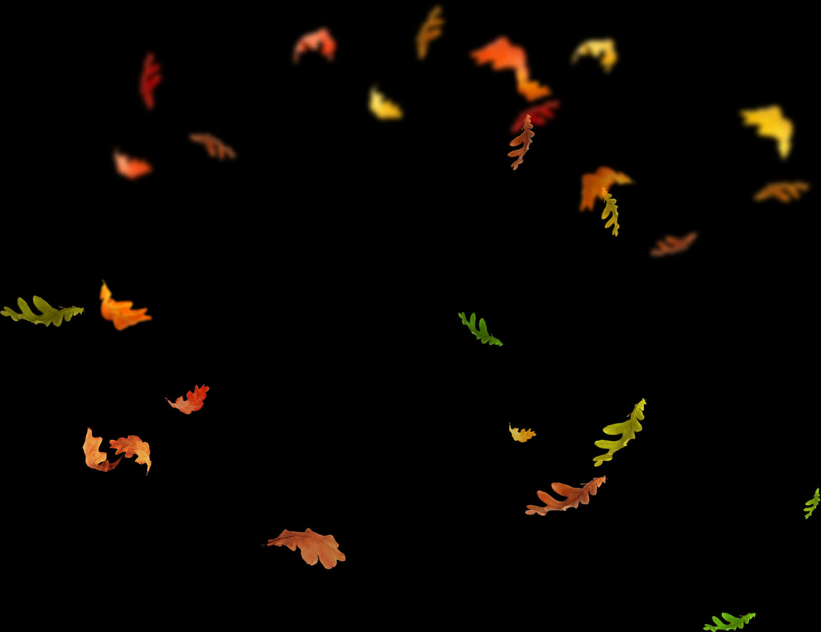 Autumn_ Leaves_ Falling_ Black_ Background.jpg