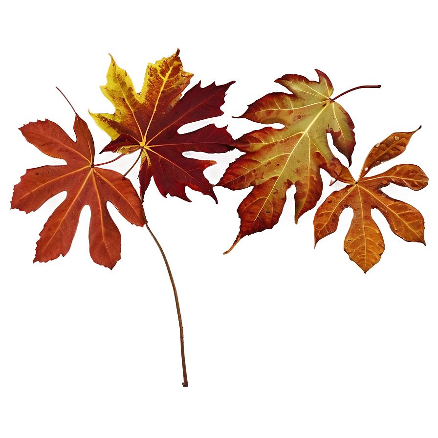 Autumn Leaves Overlay Png 05042024