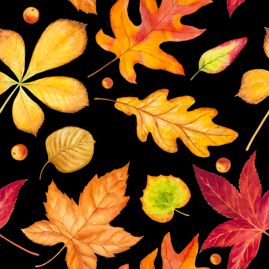 Autumn Leaves Pattern Black Background