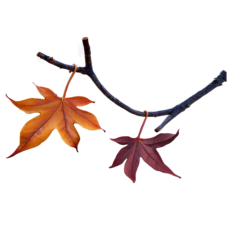 Autumn Leaves Thanksgiving Png Omd