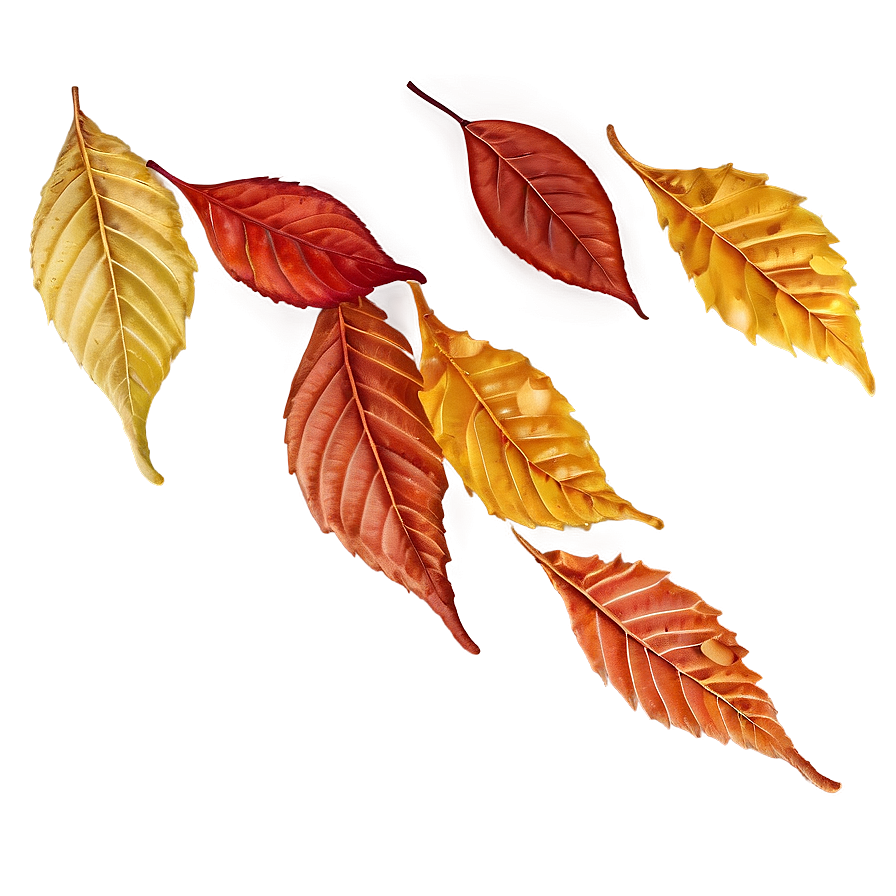 Autumn Leaves Trail Png Icf67