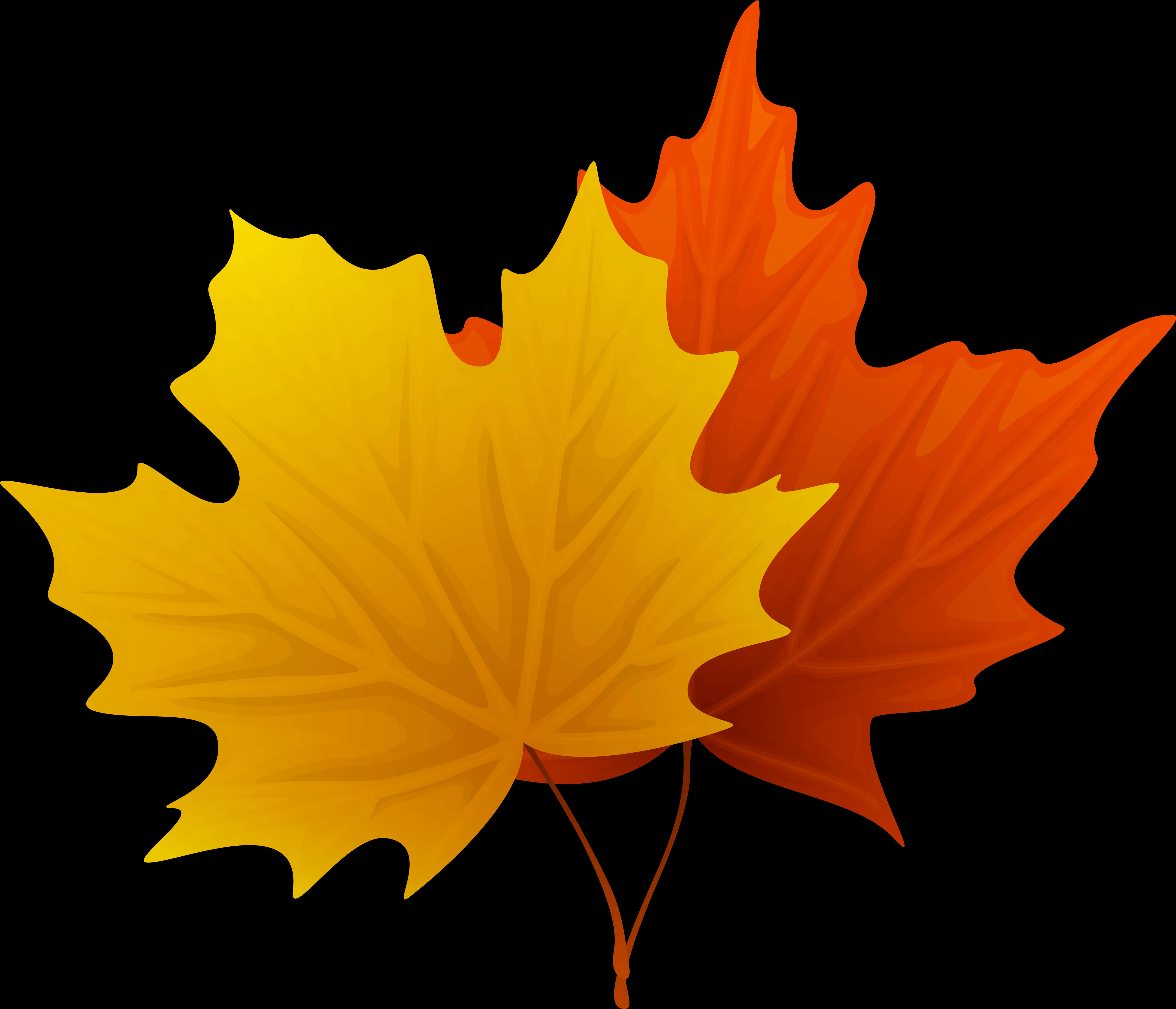 Autumn_ Leaves_ Vector_ Clipart