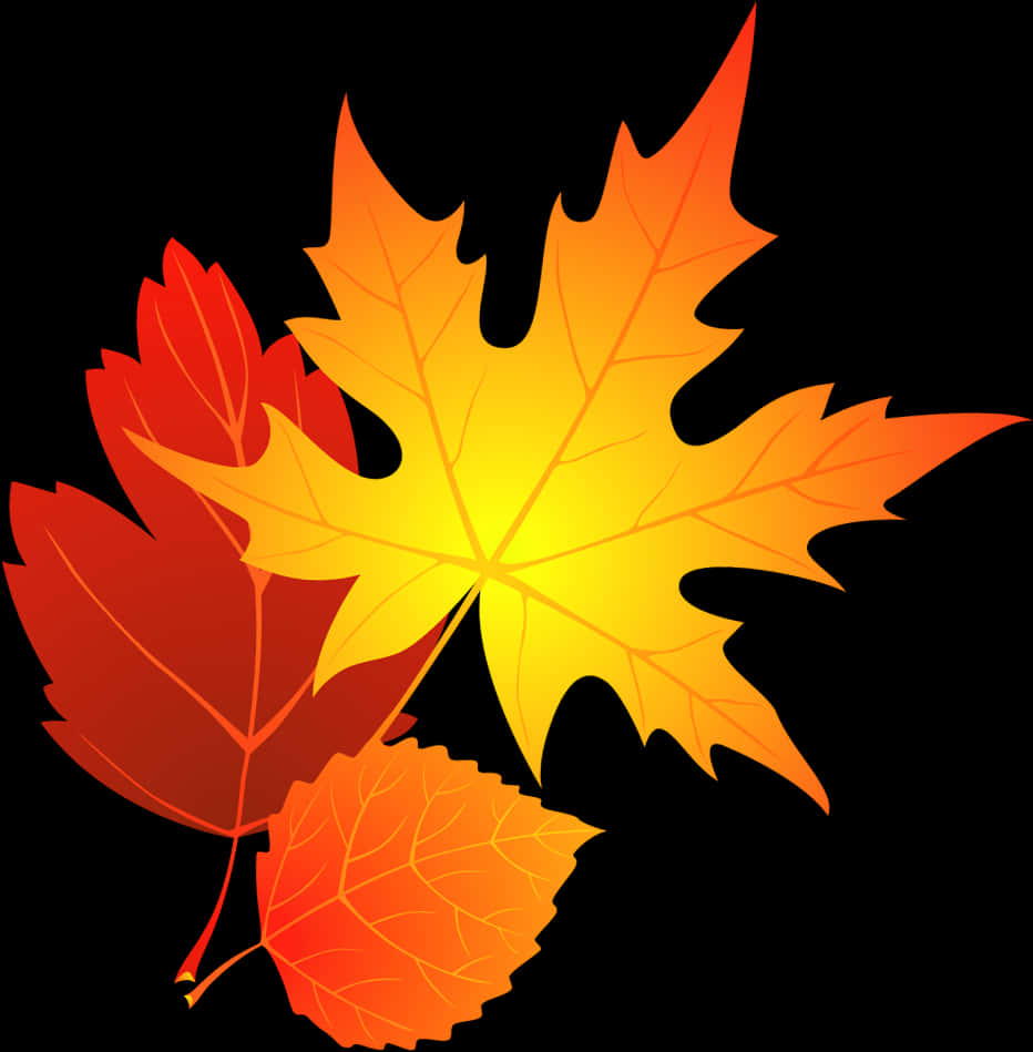 Autumn_ Leaves_ Vector_ Graphic