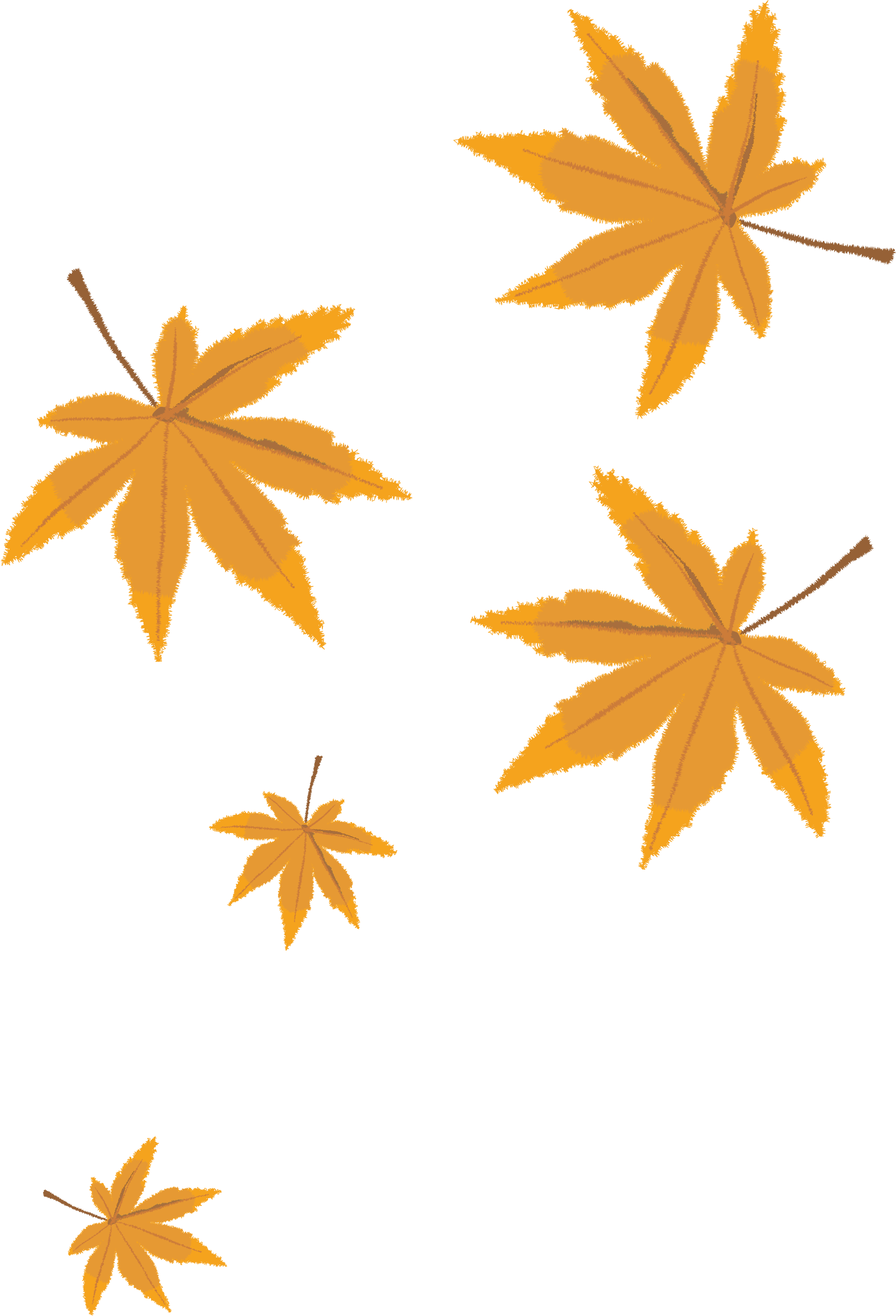 Autumn Leaves Vector Illustration