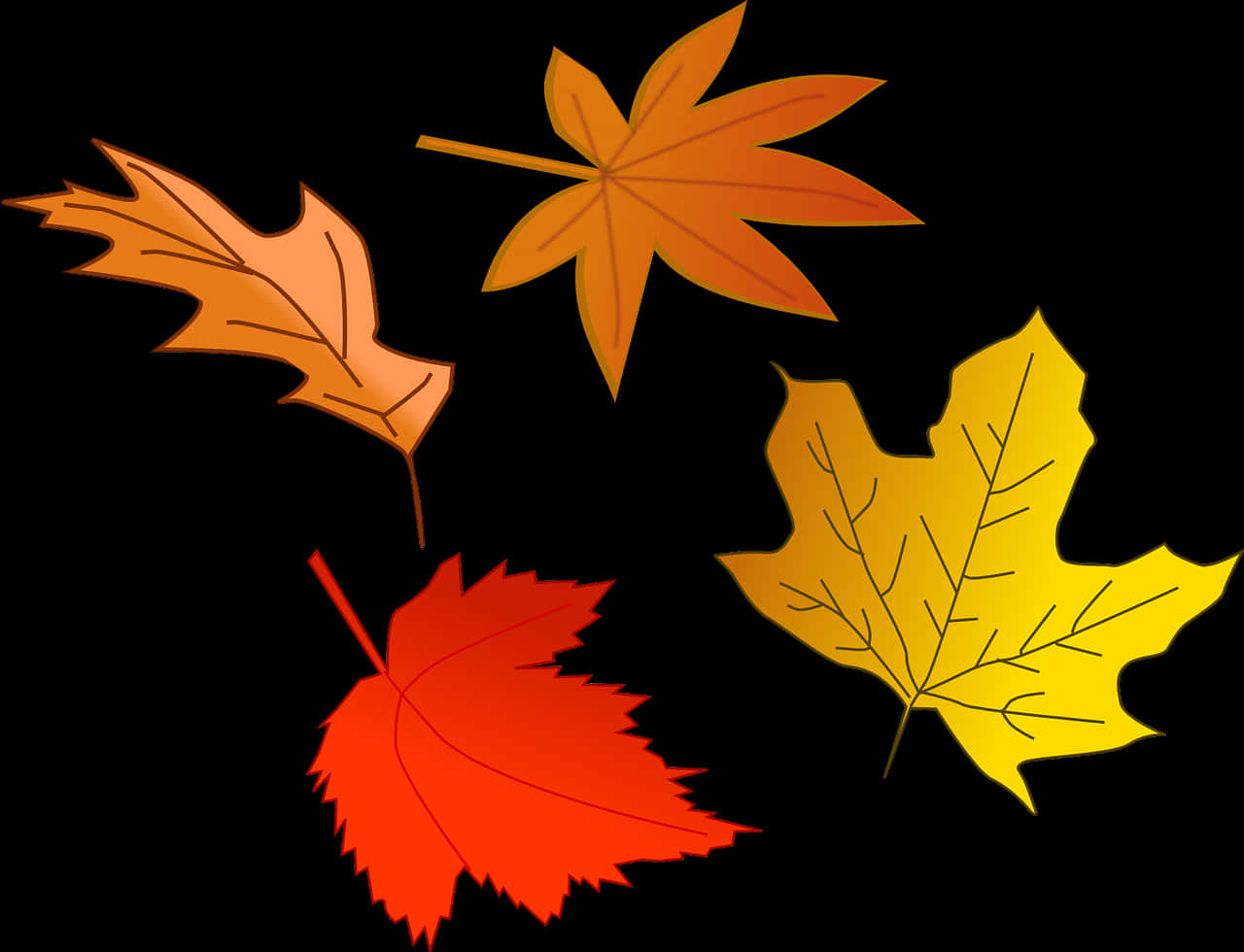 Autumn Leaves Vector Illustration