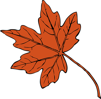 Autumn Maple Leaf Graphic