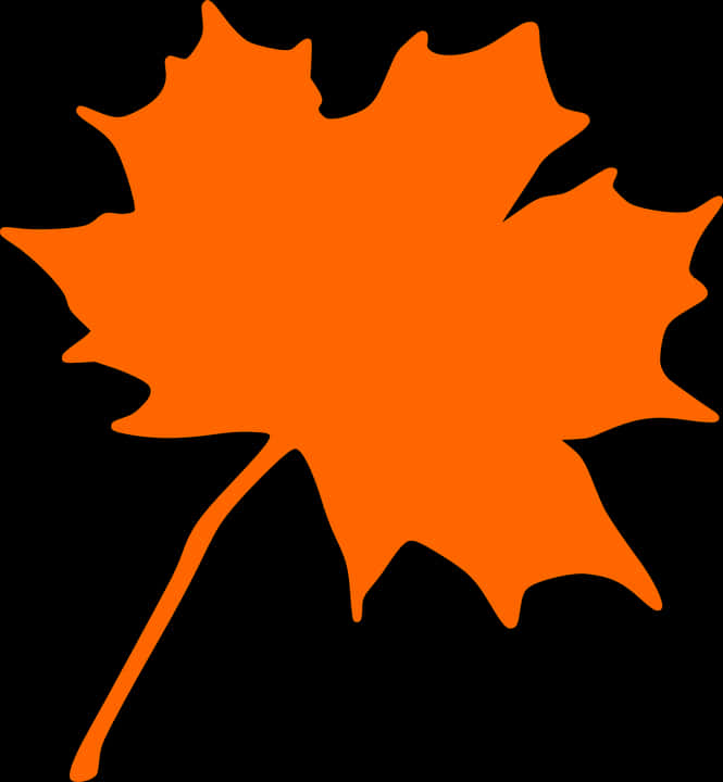 Autumn_ Orange_ Leaf_ Silhouette