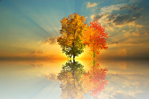 Autumn Reflection Sunset