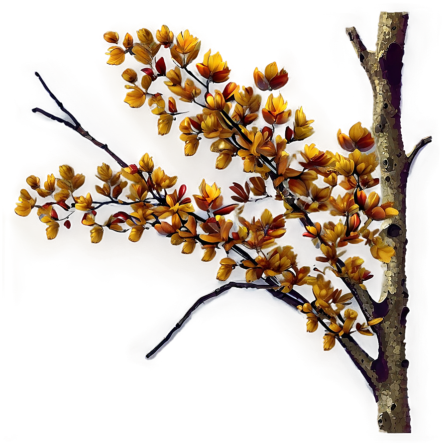 Autumn Tree Branches Png Ndt