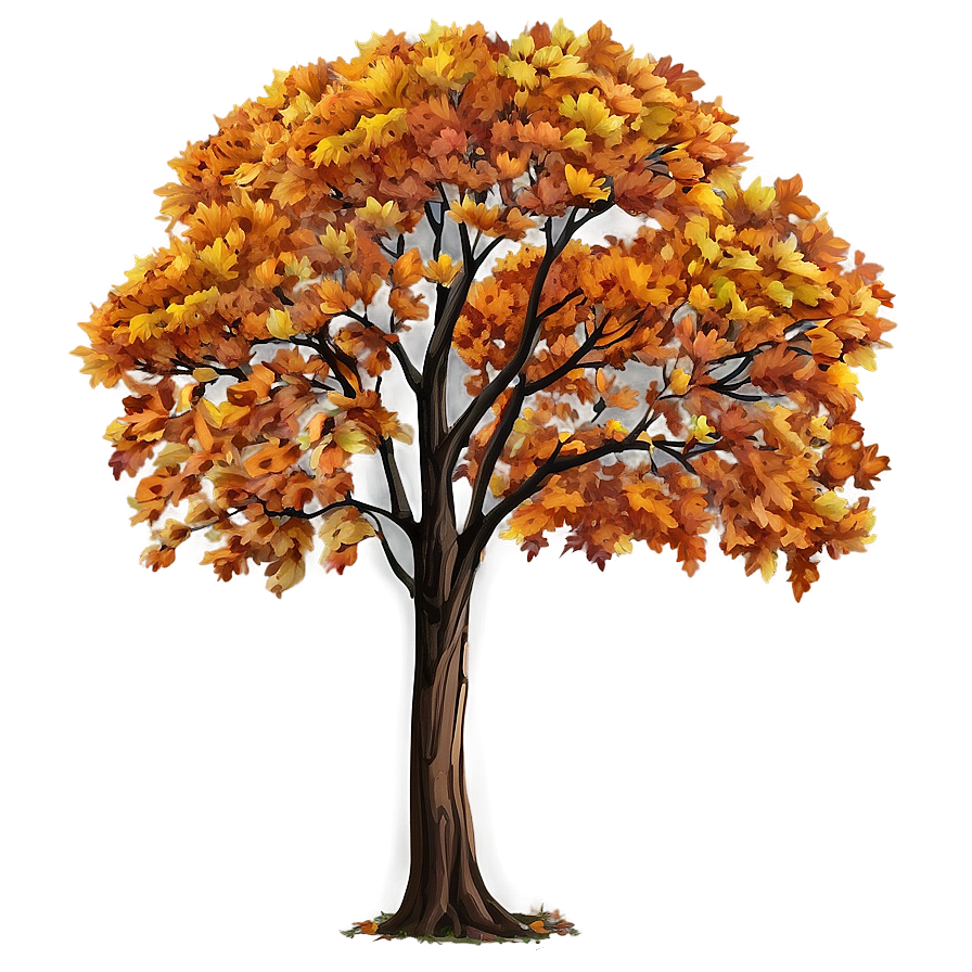 Autumn Tree Elevation Png 14