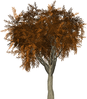 Autumn Tree3 D Model