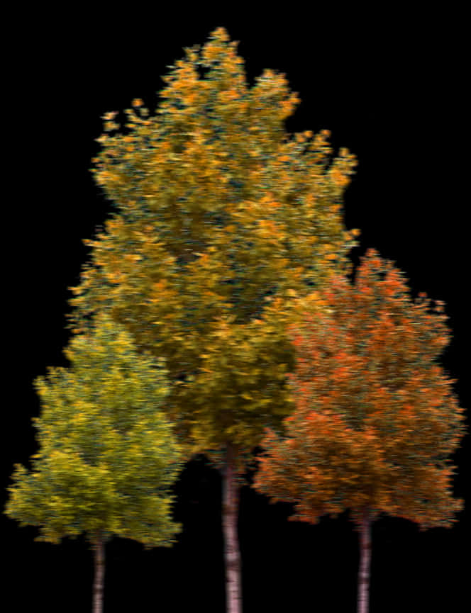 Autumn Trees Black Background