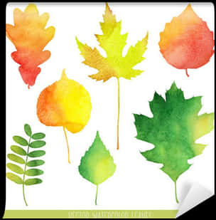Autumn Watercolor Leaves Collection