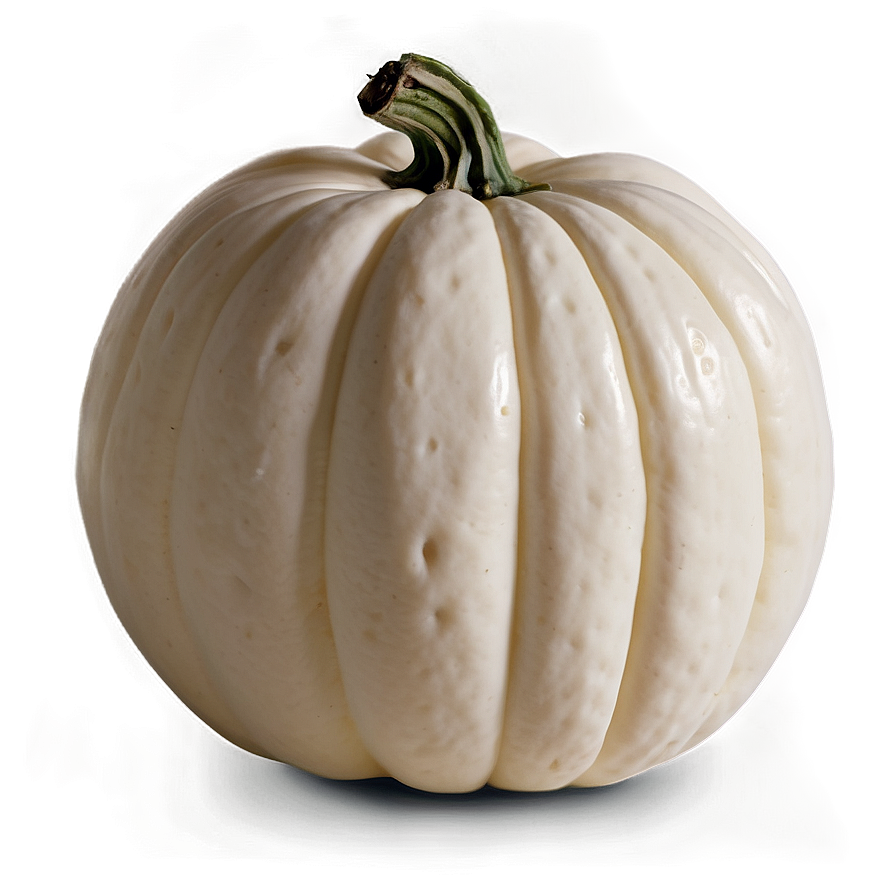 Autumn White Pumpkin Png 45