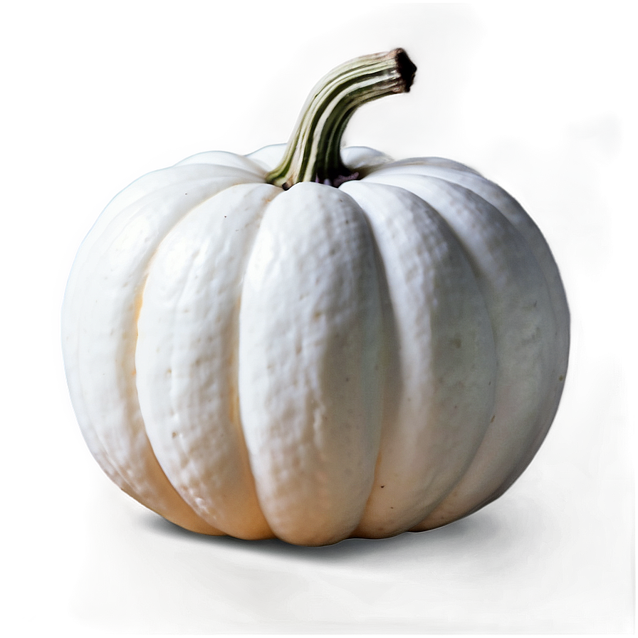 Autumn White Pumpkin Png Key63