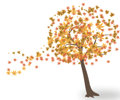 Autumn Wind Tree Illustration