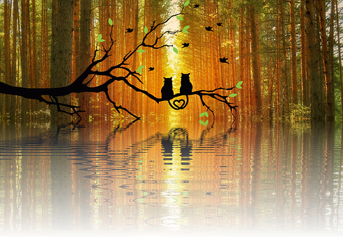 Autumnal Love Reflection