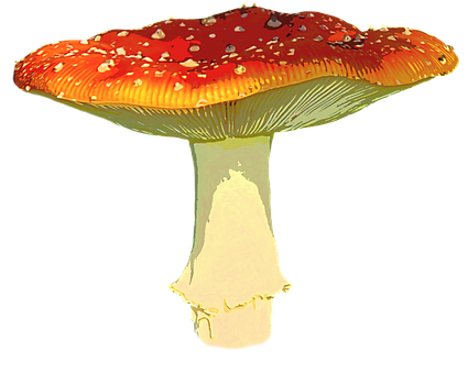 Autumnal Red Mushroom