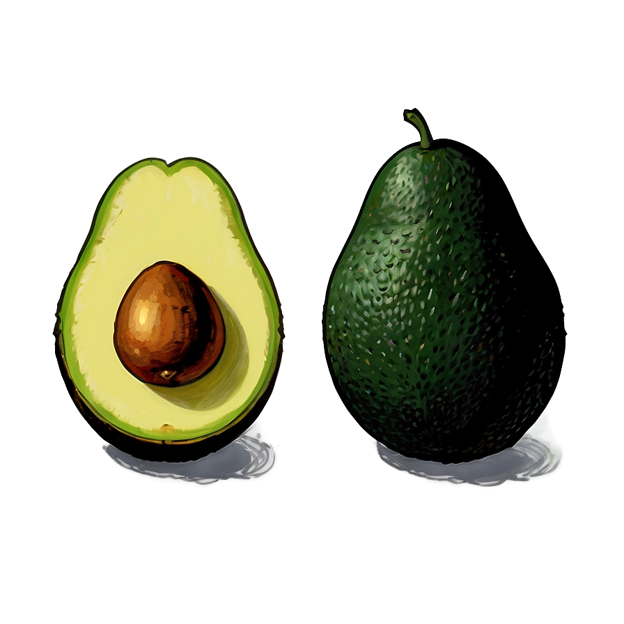 Avocado Illustration Png Nyy11