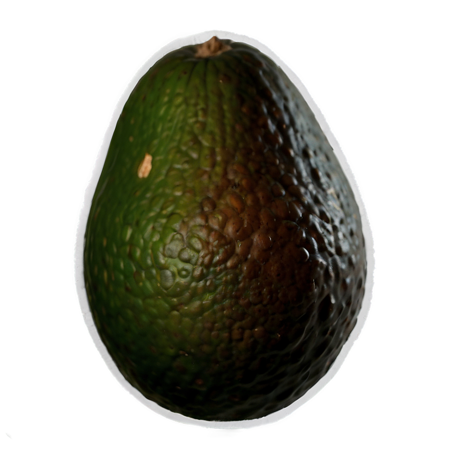 Avocado Seed Png 19