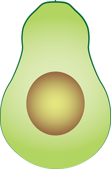 Avocado Vector Illustration