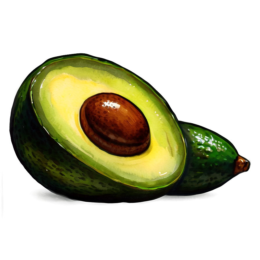 Avocado Watercolor Png Qbd16