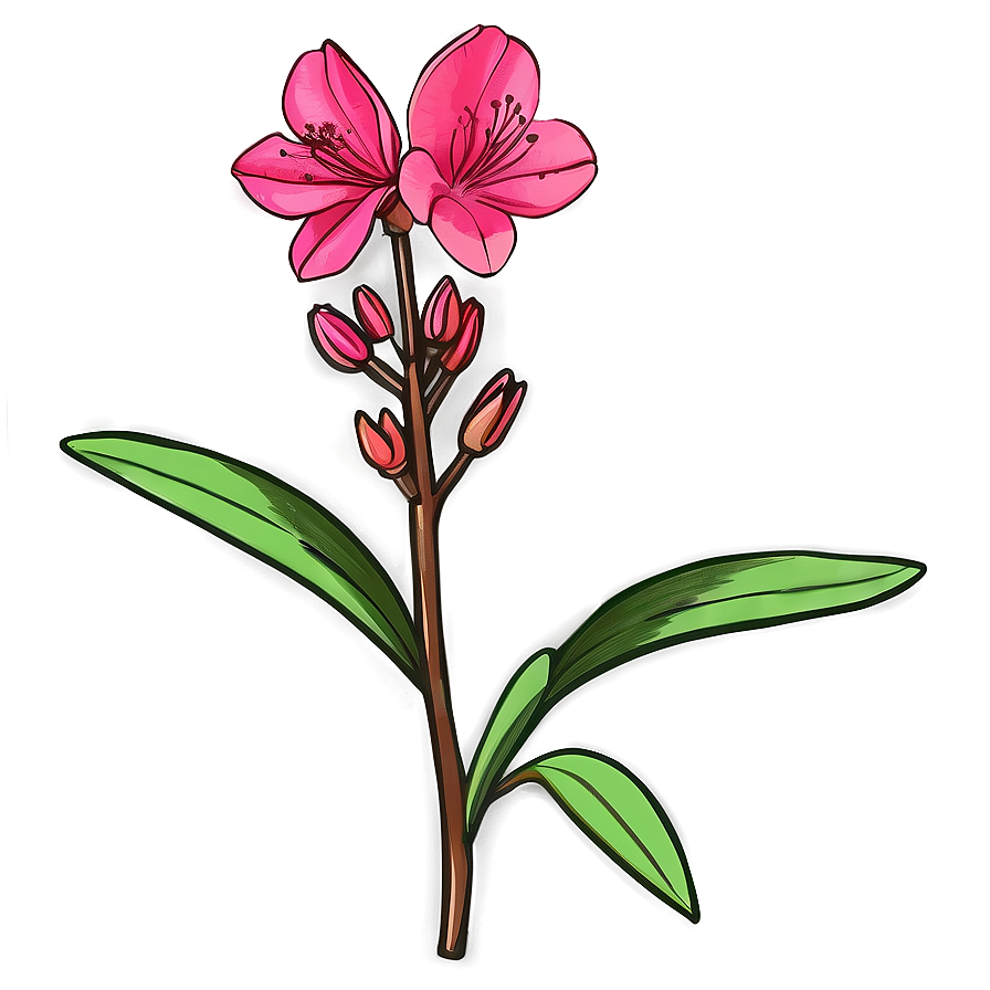 Azalea Flower Sketch Png 05252024