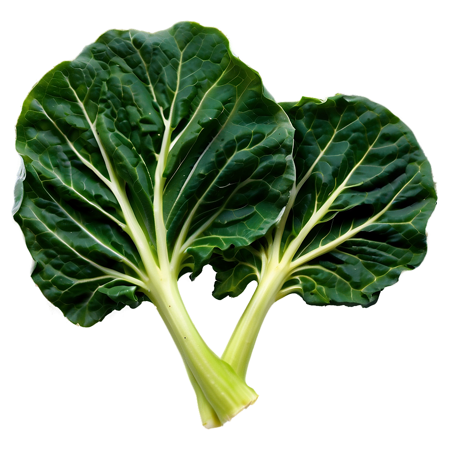 Baby Collard Greens Png 13