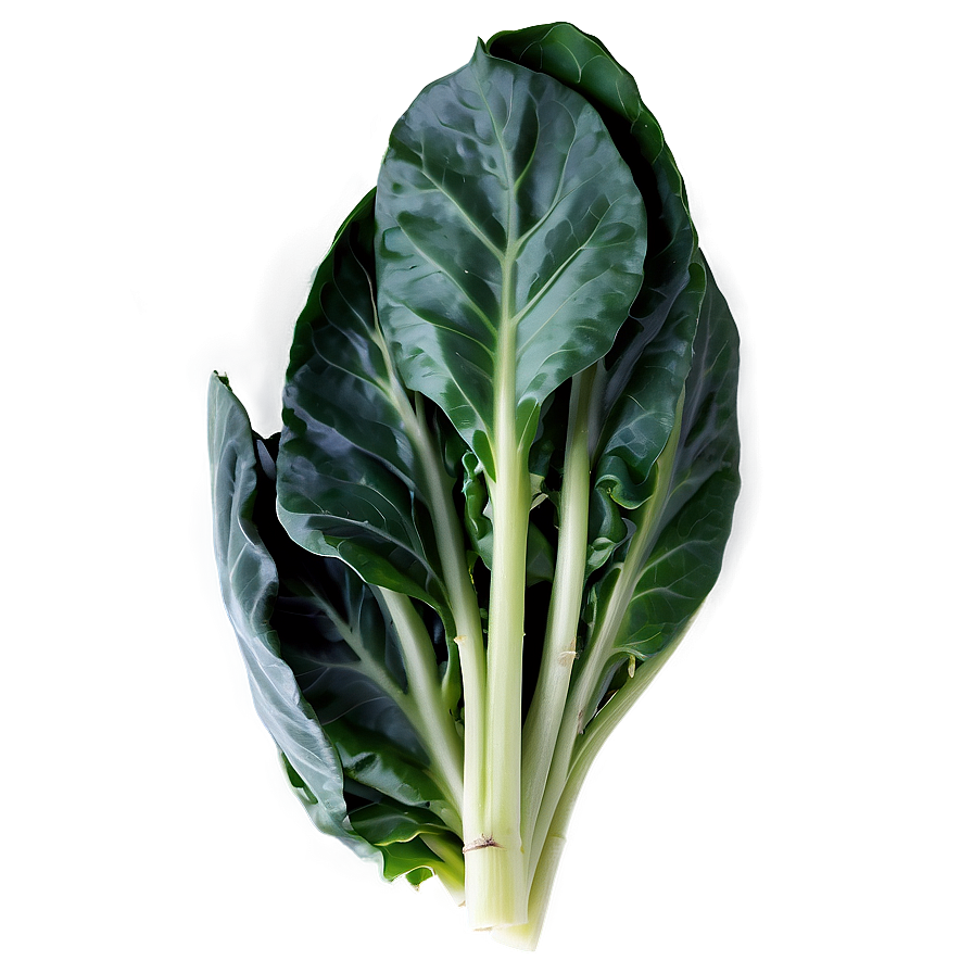 Baby Collard Greens Png Cby