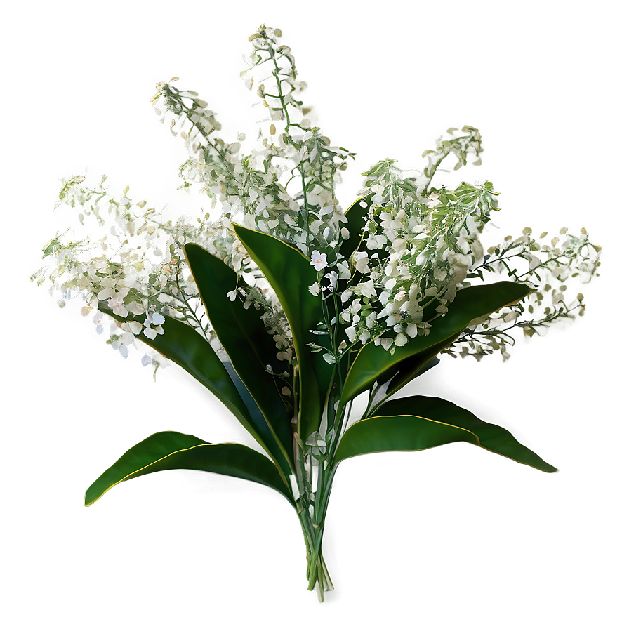 Baby's Breath And Eucalyptus Png Dnx75