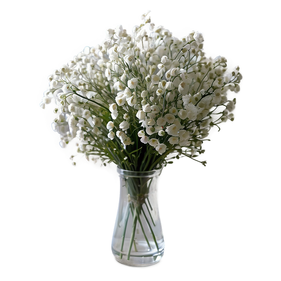 Baby's Breath In Vase Png 7