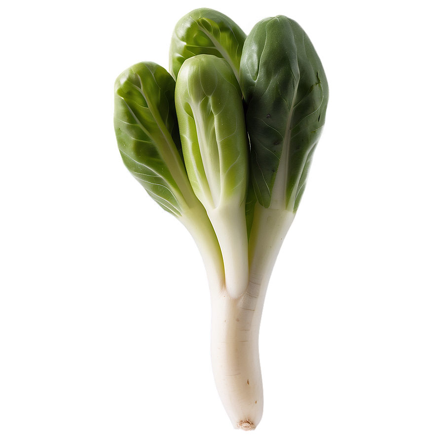 Baby Vegetables Png 05242024