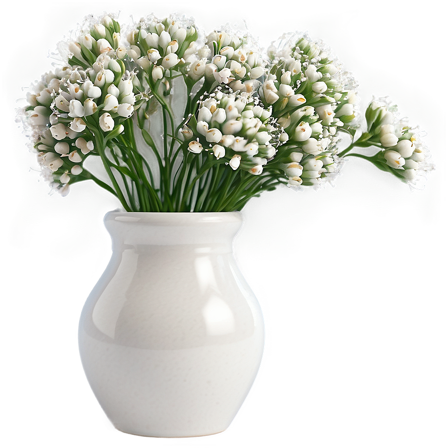 Babys Breath In Vase Png 54