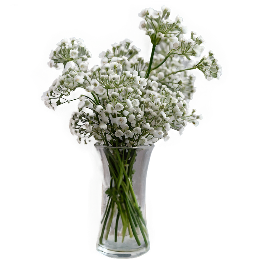 Babys Breath In Vase Png Btn94