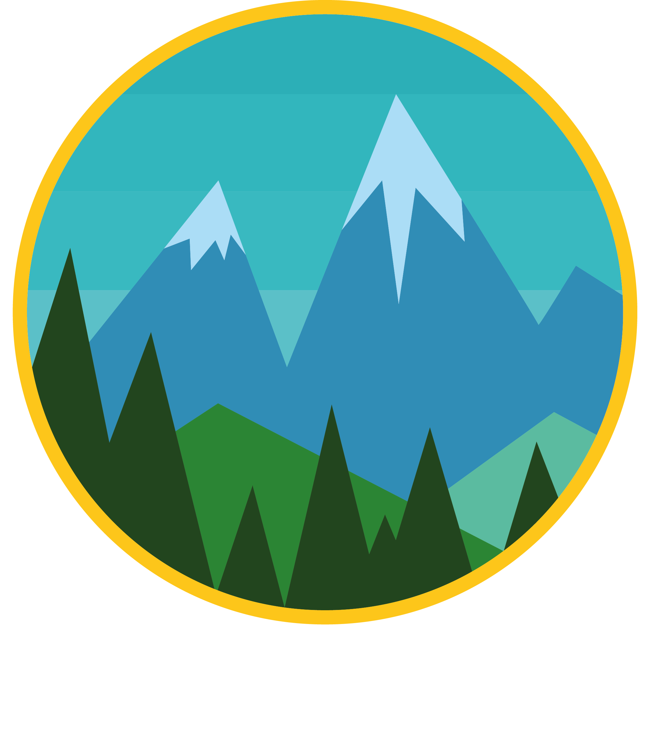 Backwoods Mountain Logo