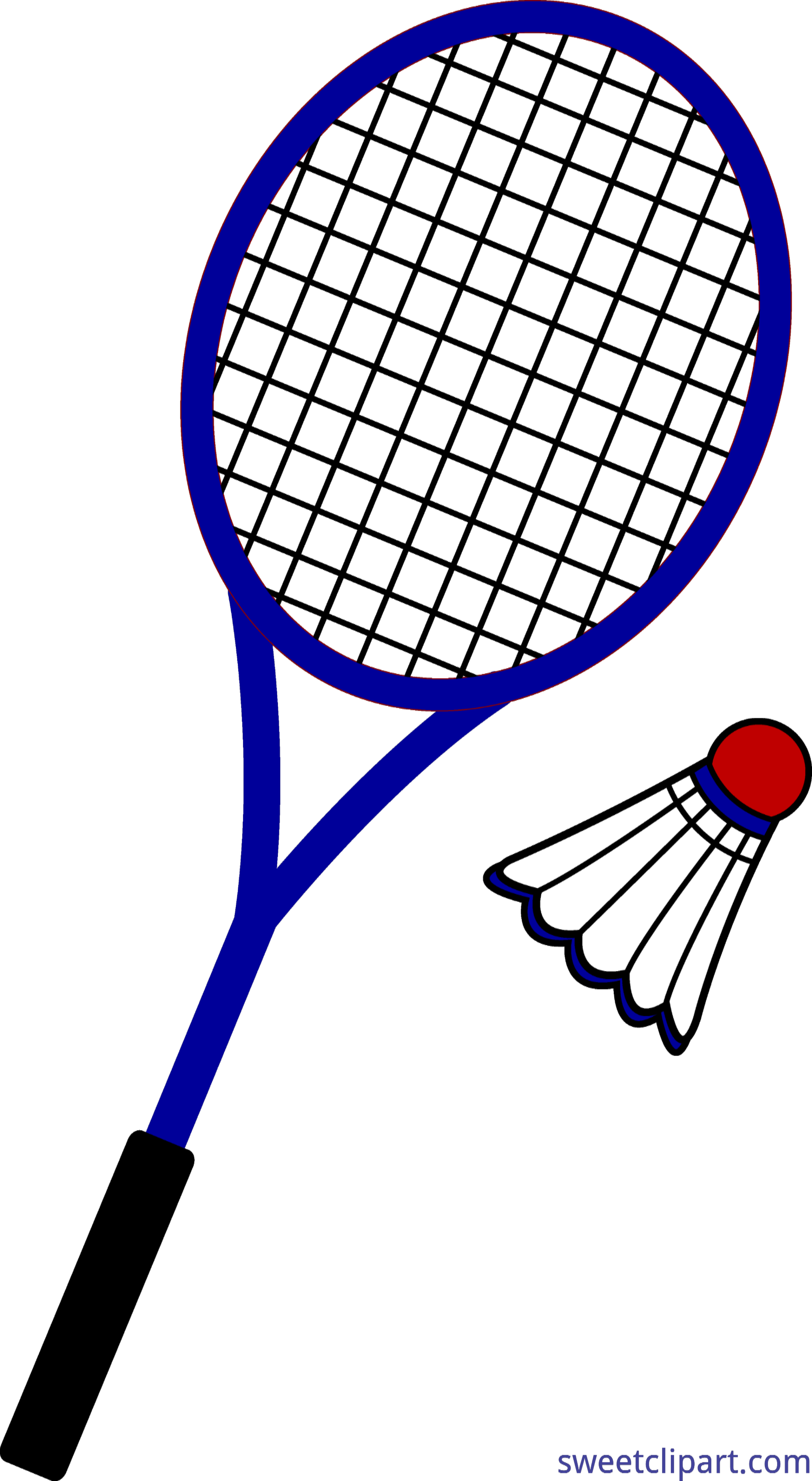 Badminton Racketand Shuttlecock Illustration