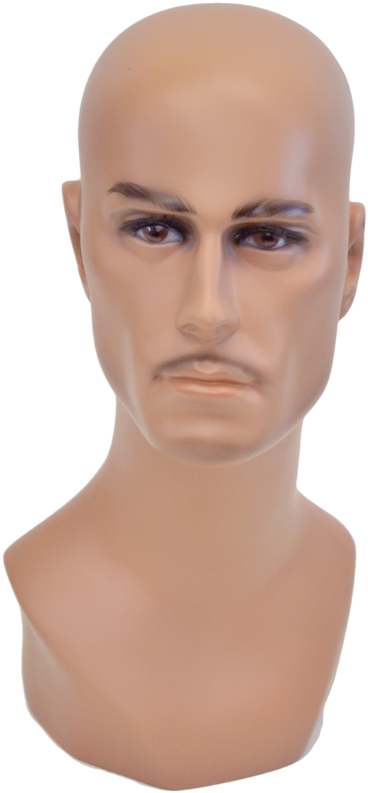 Bald Male Mannequin Head