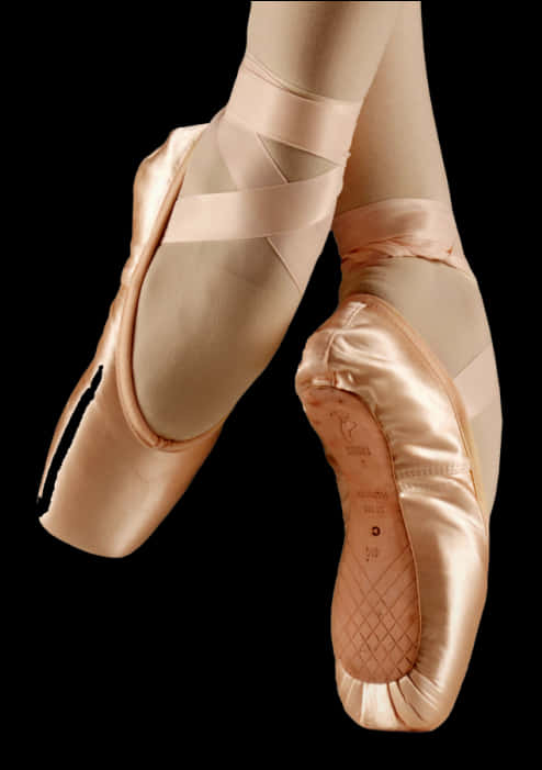 Ballet Pointe Shoesin Action