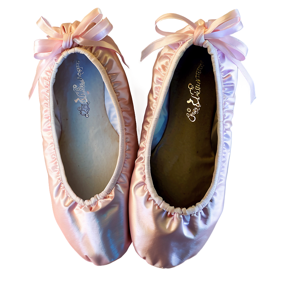 Ballet Slipper Shoes Png Cyv