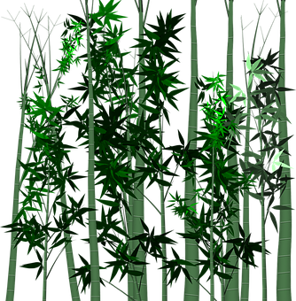 Bamboo Forest Night Scene