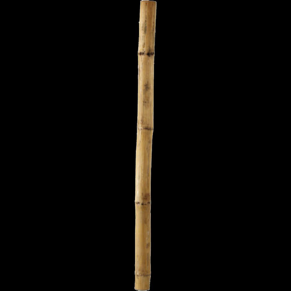 Bamboo Stick Isolatedon Black