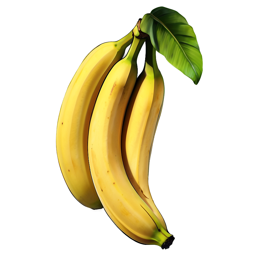 Banana Illustration Png Xsy