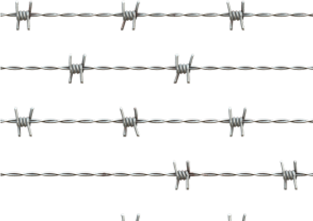 Barbed Wire Fence Pattern