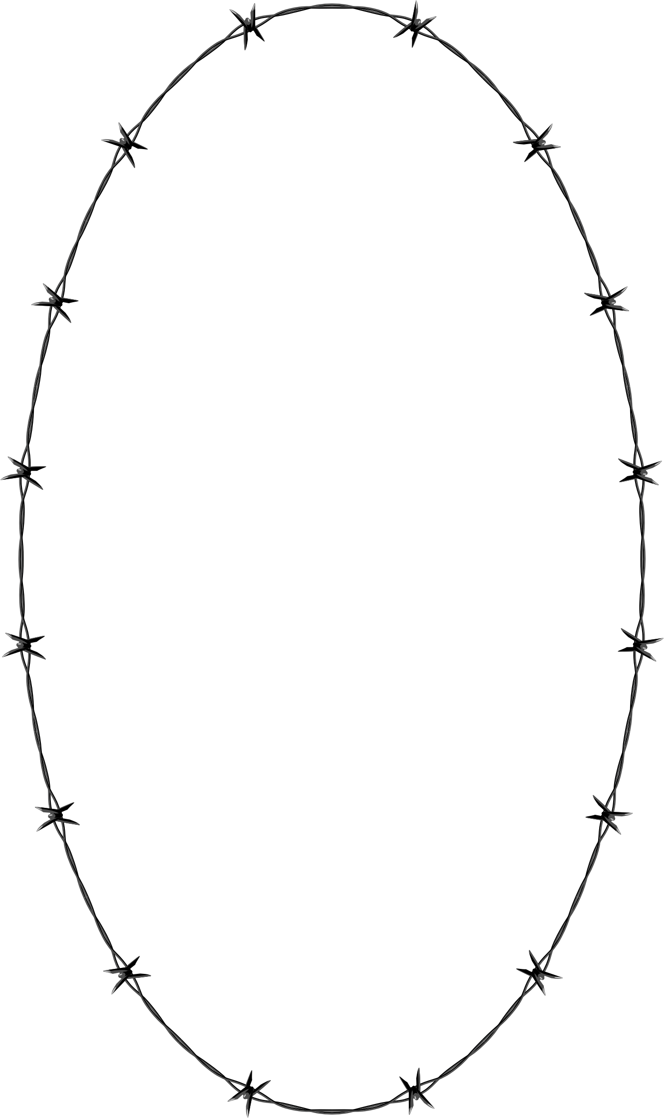 Barbed Wire Oval Frame