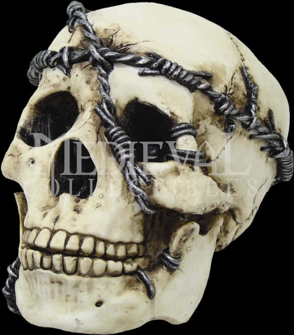 Barbed Wire Skull Decor