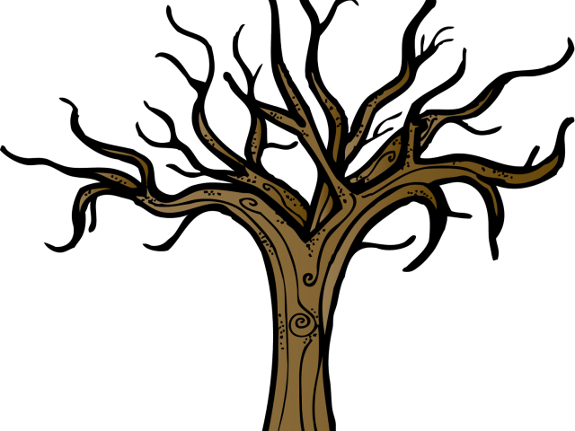 Bare Branches Tree Illustration