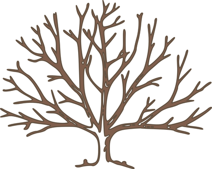 Bare Tree Silhouette