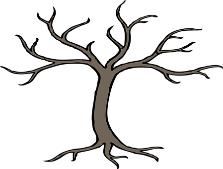 Bare Tree Silhouette