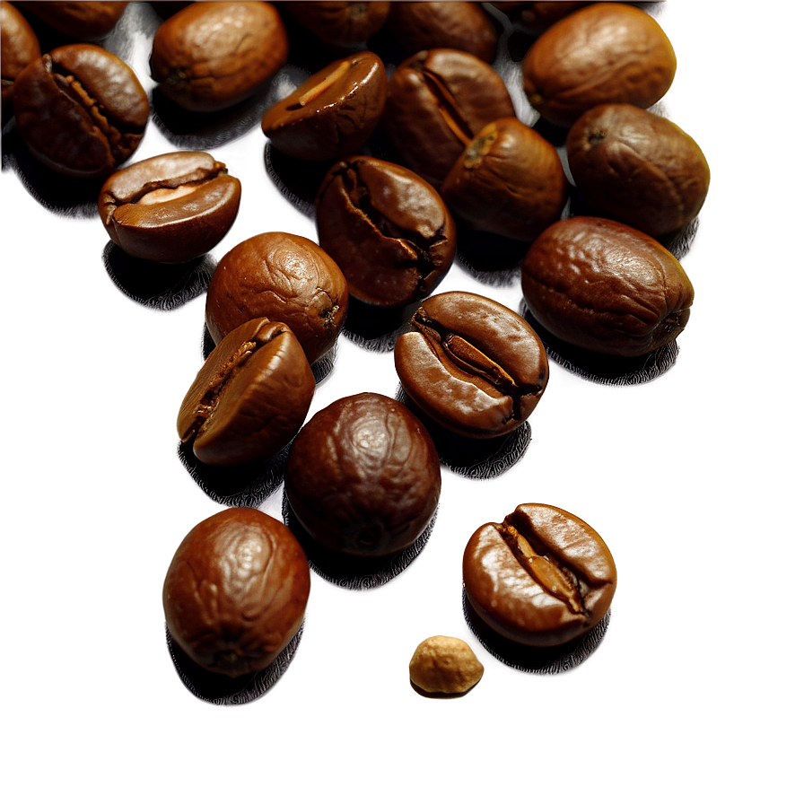 Barista Coffee Beans Png Pih