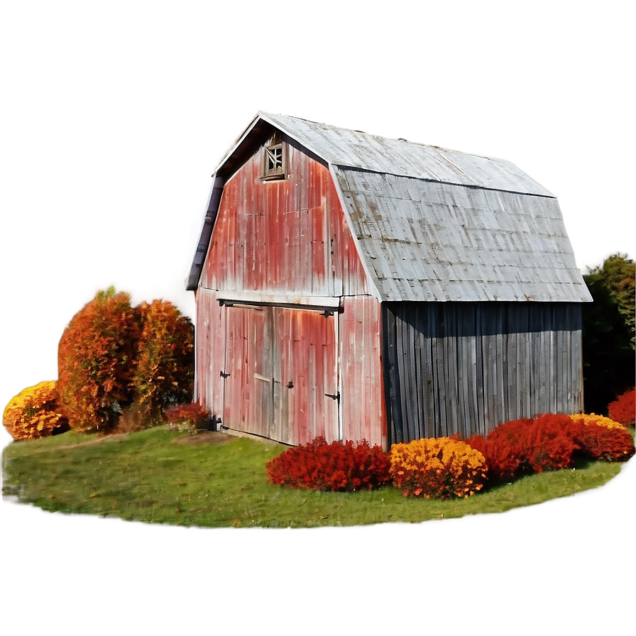 Barn Amongst Autumn Leaves Png 06122024